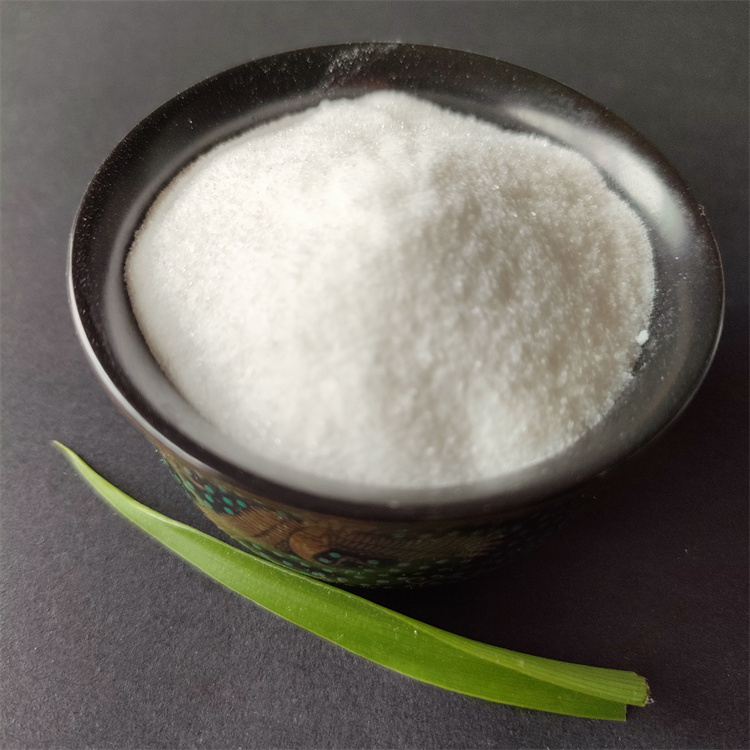 �۠�۱�ϩ����