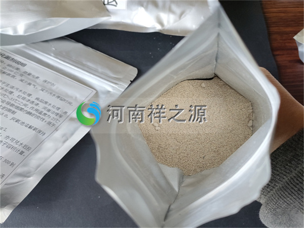 �������������Ͷ����