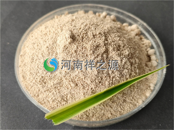 �����в͏N����̎�������