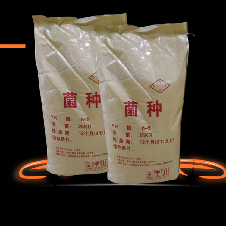 硝化菌圖片 硝化菌圖片