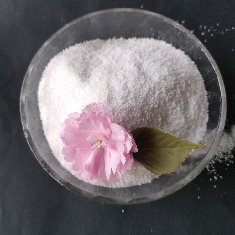 �۱�ϩ�����DƬ